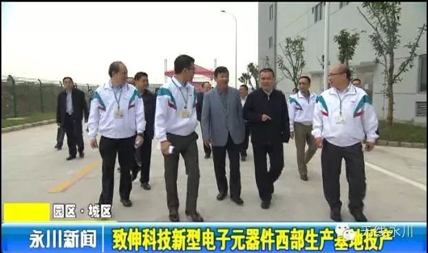 2013-2018年中国电致伸缩陶瓷材料市场分析及发展趋势